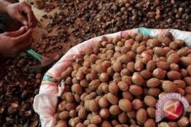 Batok Pala Sulut Laris Di Pasar Internasional