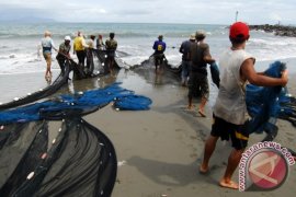 Tangkapan Pukat Pantai