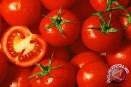 Harga Tomat Di Gorontalo Melonjak 