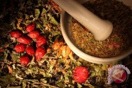 Dinkes Bangka Barat Bina Usaha Pengobatan Tradisional