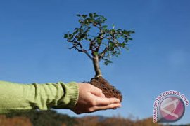 Dinas Kehutanan Reboisasi Lahan Penebangan Liar