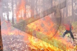 Dua titik panas terdeteksi BMKG di Riau