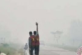 Satelit Deteksi 102 Titik Api Di Kalimantan