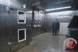 DKP Seruyan: Pengoperasikan Pembeku Ikan Terkendala Listrik