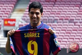Enrique: Suarez Tidak Gemuk  