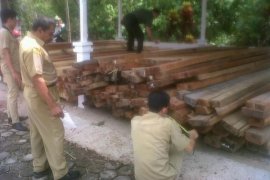 210 Kayu Diduga Hasil Pembalakan Liar Diamankan Polhut Landak