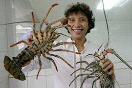 Survei : Tingkat Kepuasan Kinerja Menteri Dibawah 50 persen