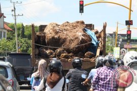 Pecahan batu gajah di muara mengganggu aktivitas nelayan