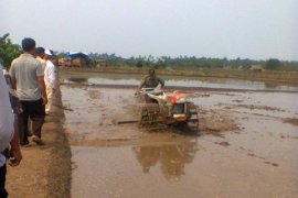 Jelang Tanam Pupuk Langka di Ketapang