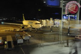 Terminal Baru Domestik