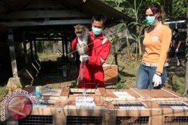 Hari Hak Azasi Binatang