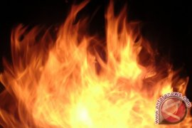 Pabrik Pengolahan Kapas Di Bireuen Terbakar