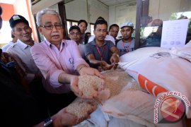 Bulog Ganti Beras Busuk Aceh Jaya