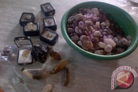 Pencari Batu Kecubung Tewas Tertimbun di Ketapang