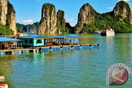 Teluk Ha Long Tercatat Sebagai Keajaiban Geologi