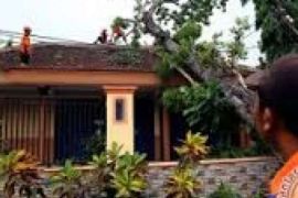 30 rumah Rusak Diterjang Badai