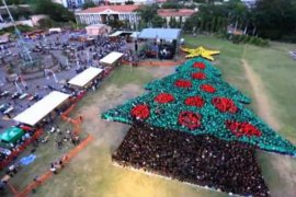 Ribuan Manusia Jadi Pohon Natal