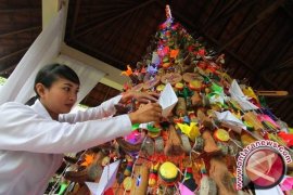 BLH Biak Numfor imbau penggunaan Pohon Natal ramah lingkungan 