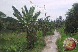 Warga Sungai Gampa Merasa Terisolasi 