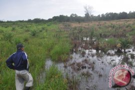 Petani Sawit Ultimatum Garap Lahan Sendiri 2018