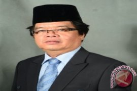 Tuntaskan Kasus Illegal Logging