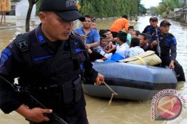 Napi di Tamiang yang dilepaskan diminta kembali