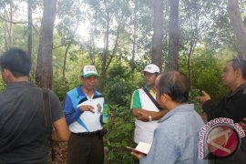   Tahura Critical Land Rehabilitation Continues