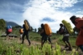 Seorang Pendaki Jatuh ke Jurang Gunung Ciremai