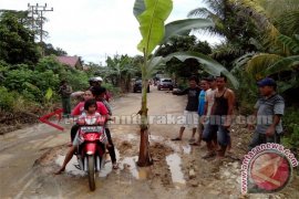 Jalan Marawan Baru-Pendang Barsel Perlu Perbaikan 