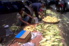 Pedagang jagung bermunculan jelang pergantian tahun
