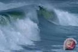 Pasang Air Laut Ancam Burung Bersarang Di Pantai 