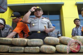 Polisi ringkus oknum mantan anggota TNI bawa ganja 