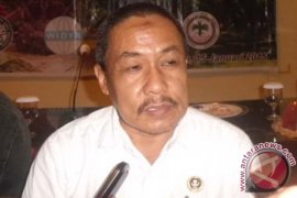 Bibit Sawit Palsu Beredar di Sulbar 
