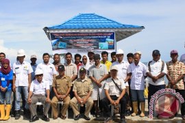 PT Suryaraya Lestari I Konservasi Terumbu Karang dan Cumi-cumi