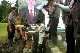 Dispertan: Irigasi Padang Panjang 90 Persen Bagus