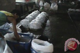 Karantina perikanan musnahkan teripang dan gelembung ikan