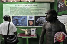 Menelusuri jejak kehidupan purba di Sangiran