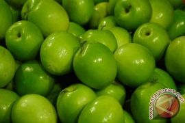 BKP Babel Imbau Jangan Beli Apel Amerika