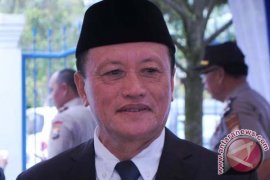 Bupati: lahan padi Mamuju Tengah jangan dialihfungsikan