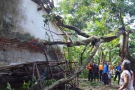 Angin Puting Beliung Landa Sampang