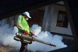 Penderita DBD di Jember Capai 460 Orang