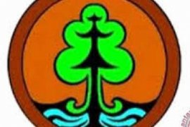 Kemenhut: Indonesia Dapat Hibah Pengelolaan SDA Lestari