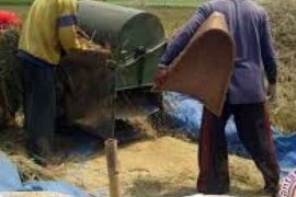 Inhil Tingkatkan Hasil Produksi Pangan