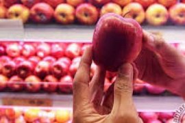 Disperindag Temukan Dua Jenis Apel Impor Berbahaya