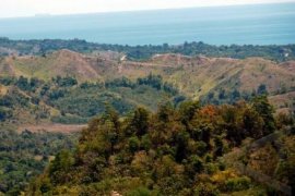 BNPB tanam vegetasi di lahan kritis di Lebak cegah dampak bencana