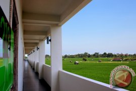 Cozy Stay Hotel Bali Menonjol Pada Segmen Budget Hotel