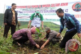 TANAM POHON NANGKADAK