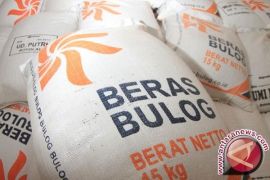 Stok beras Bulog di Timika cukup hingga Maret