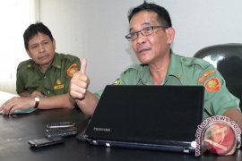 BPPTSP Jayapura temukan dua kesalahan perizinan HP Oppo