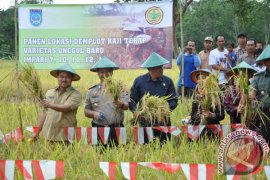 DUKUNG KETAHANAN PANGAN NASIONAL